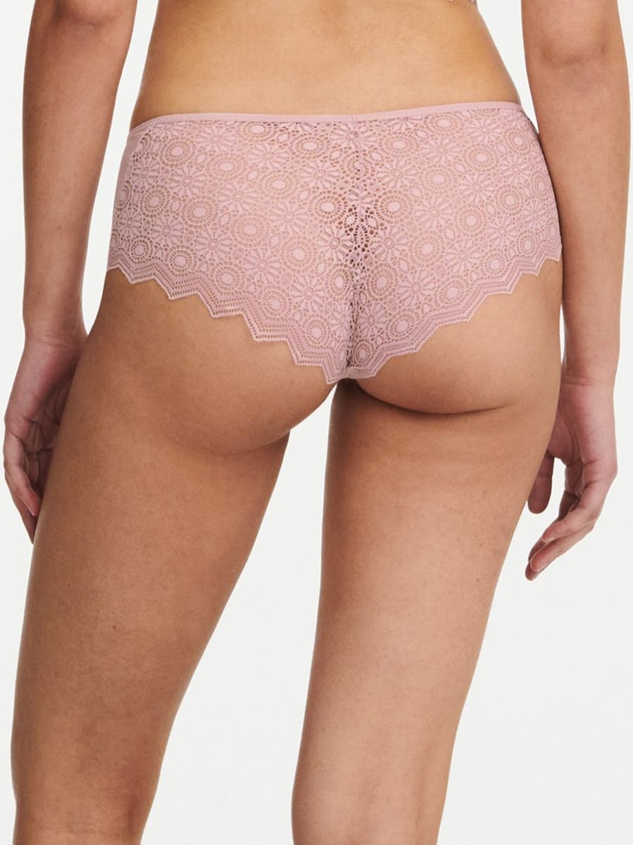 Briefs Passionata | Passionata - Georgia Shorty English Rose