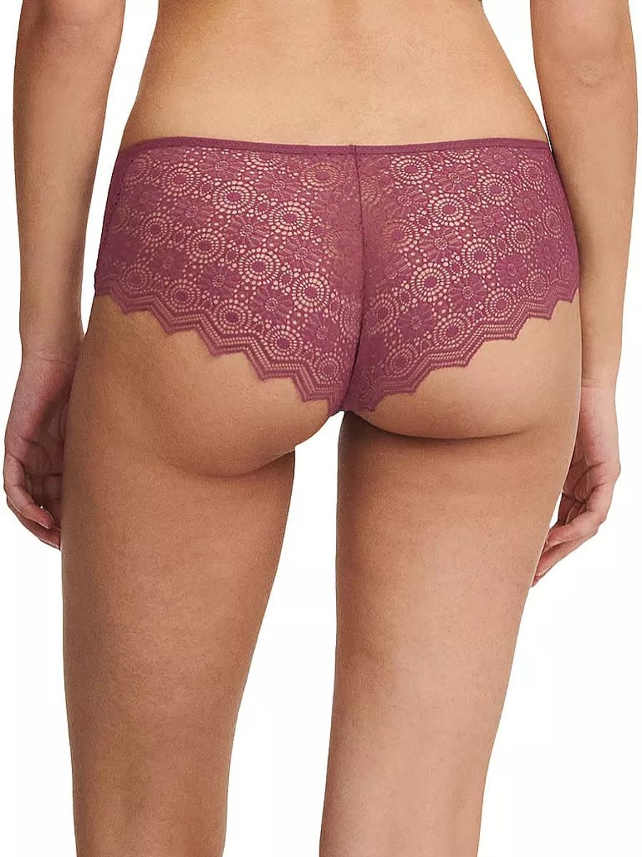 Briefs Passionata | Passionata - Georgia Lace Shorty Tannin